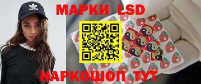 СК Волгодонск