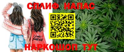 СК Волгодонск