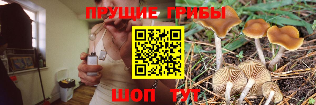 Галлюциногенные грибы ЛСД Искитим